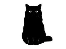 Silhouette of a black cat sitting on a white background silhouette